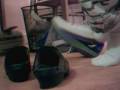 videos de BC03