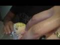 Balut and Abalone Salad with Natto