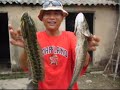 funny fishing,fishing funny,c�u c� ,snakehead fishing