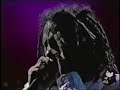 Rage Against The Machine - Wake up (vivo Woodstock 99)