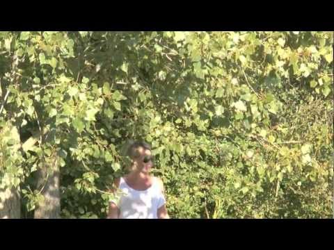 September 2011 Webcast, Oct 2011