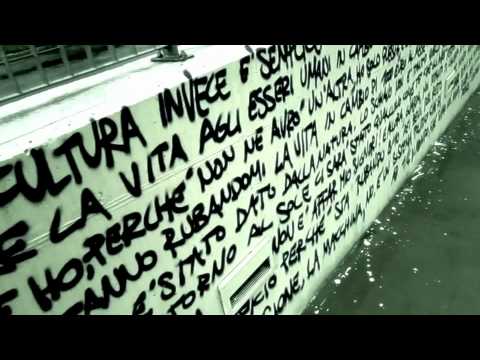Immagine anteprima YouTube