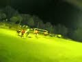 Palio del Carbonaro - Fratticiola - Palio 2008 -Corsa Somari