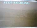 Boycott Beijing Birds Nest AD 2008 [7]