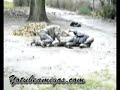 2 BORRACHOS MUY BORRACHOS