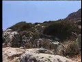 Isla de Alborán 2