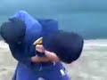 Parte II Ulluy VS Jabali hembra