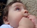 Michael Constantine video 2