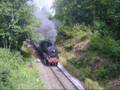 HLV64.169 met een trein naar Purnode