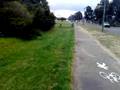 videos de vt crash