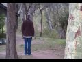 videos de Monkeys running around outside our room