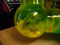 watering.html