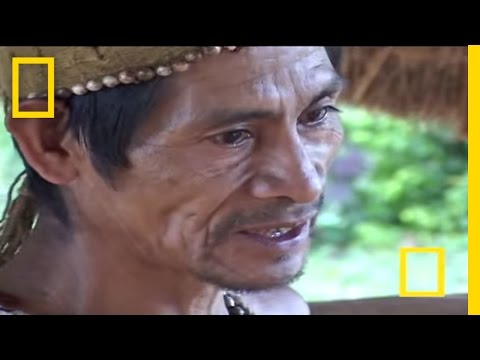 Rain Forest Shaman