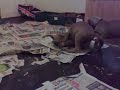 20112009103.mp4