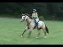 Cross Country Lesson 8/13/08