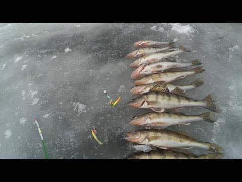 рыбалка на устье суры видео рыбалка на устье суры видео