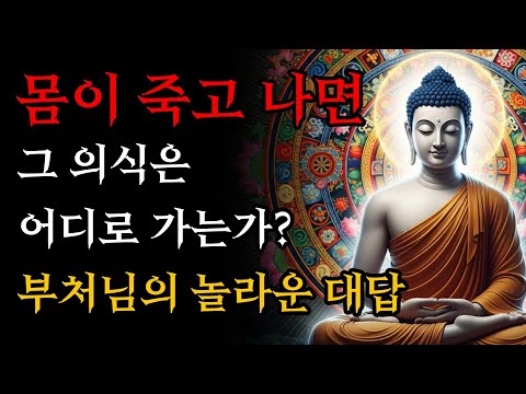 몸이 죽고 나면 그 의식은 어디로 가는가? | 부처님의 놀라운 대답