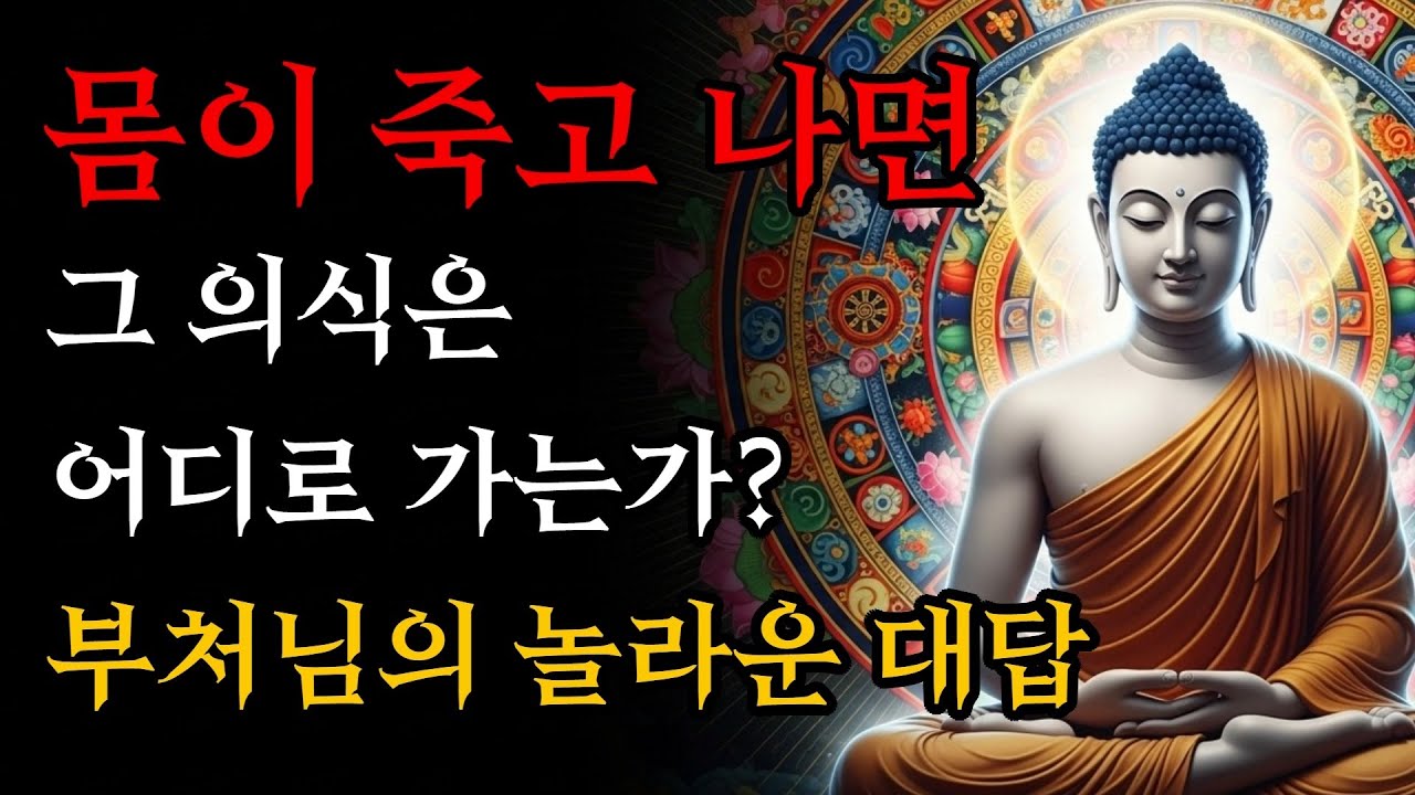 몸이 죽고 나면 그 의식은 어디로 가는가? | 부처님의 놀라운 대답