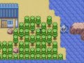 Pokemon Emerald HACK WALKTHROUGH Part 1 Pokemon Emerald HACK WALKTHROUGH Part 1