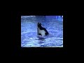 SeaWorld Ohio 1998 SeaWorld Ohio 1998