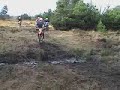 the ditch 1
