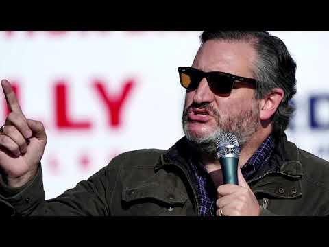 Ted Cruz leads Republican challenge to Biden win