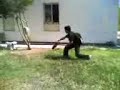 yuda kelahi ma anjing yuda kelahi ma anjing