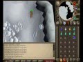 Killing Skeletal Wyverns with Mellee - All you need to know