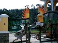 Cagayan de Oro - Project Update July 24,2008