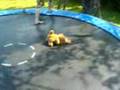 videos de Fat guy and trampoline = complete idiot!