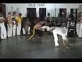 Ver Video