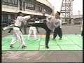 Hapkido Hapkido