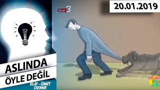 https://www.youtube.com/embed/RcH0szscViI