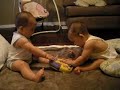 Jojo and Coco 7