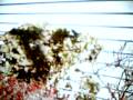 IMG 0057
