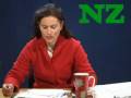 videos de NZ-Klickparade #5 vom 05.12.2008