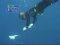 Giant Bluefin Tuna Madness