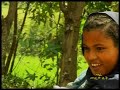 Ethiopian Guragigna music