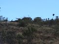 Fast Passage Video part 2