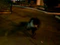 Bboys colomos