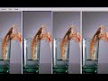 Bildbearbeitung Photoshop mit Exif Daten speichern - Deutsch
