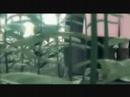 Final Fantasy VII - Beast of Blood