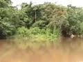 ayahuasca iquitos peru 2002   part 1 of 2