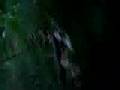 videos de Yeti spotted in Belgium