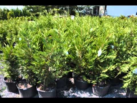 how to locate image in html