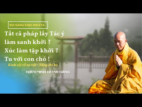 SOI SÁNG KINH NIKAYA - Tất cả pháp lấy Tác ý làm sanh khởi ? Xúc làm tập khởi ? Tu với con chó !