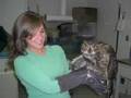videos de Wildlife Medicine Clinic at the University of Illinois