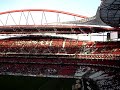 benfica-voo-da-aguia-com-fundo-musical-lindo.html