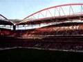 Benfica: Voo da Aguia com fundo musical - lindo