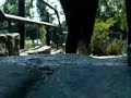 MOV00350